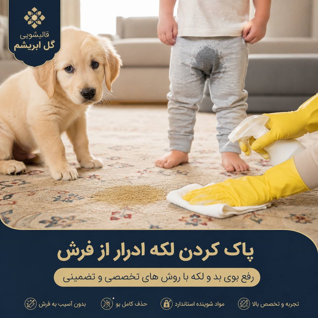 پاک کردن ادرار از روی فرش + حکم شرعی ادرار انسان و حیوانات